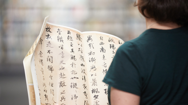 Image of someone looking at a chinese language document.
